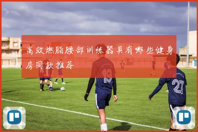 高效燃脂腰部训练器具有哪些健身房同款推荐