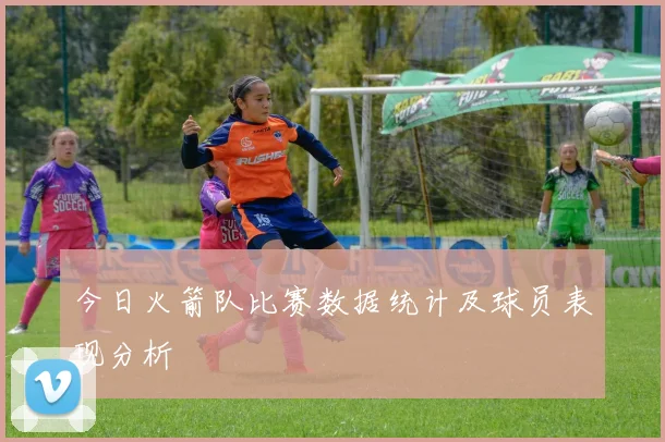 今日火箭队比赛数据统计及球员表现分析