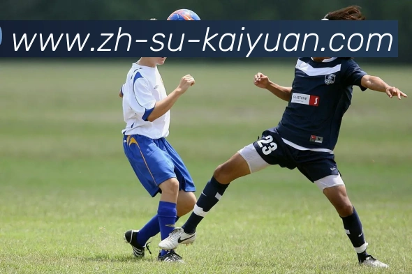 开元棋牌服务体系