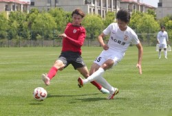 开元棋牌登录入口-黑白剑条衫与意甲队服设计哲学的永恒法则探索